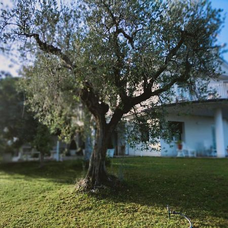 Villa Margherita ซานโจวานนี เตอาติโน ภายนอก รูปภาพ