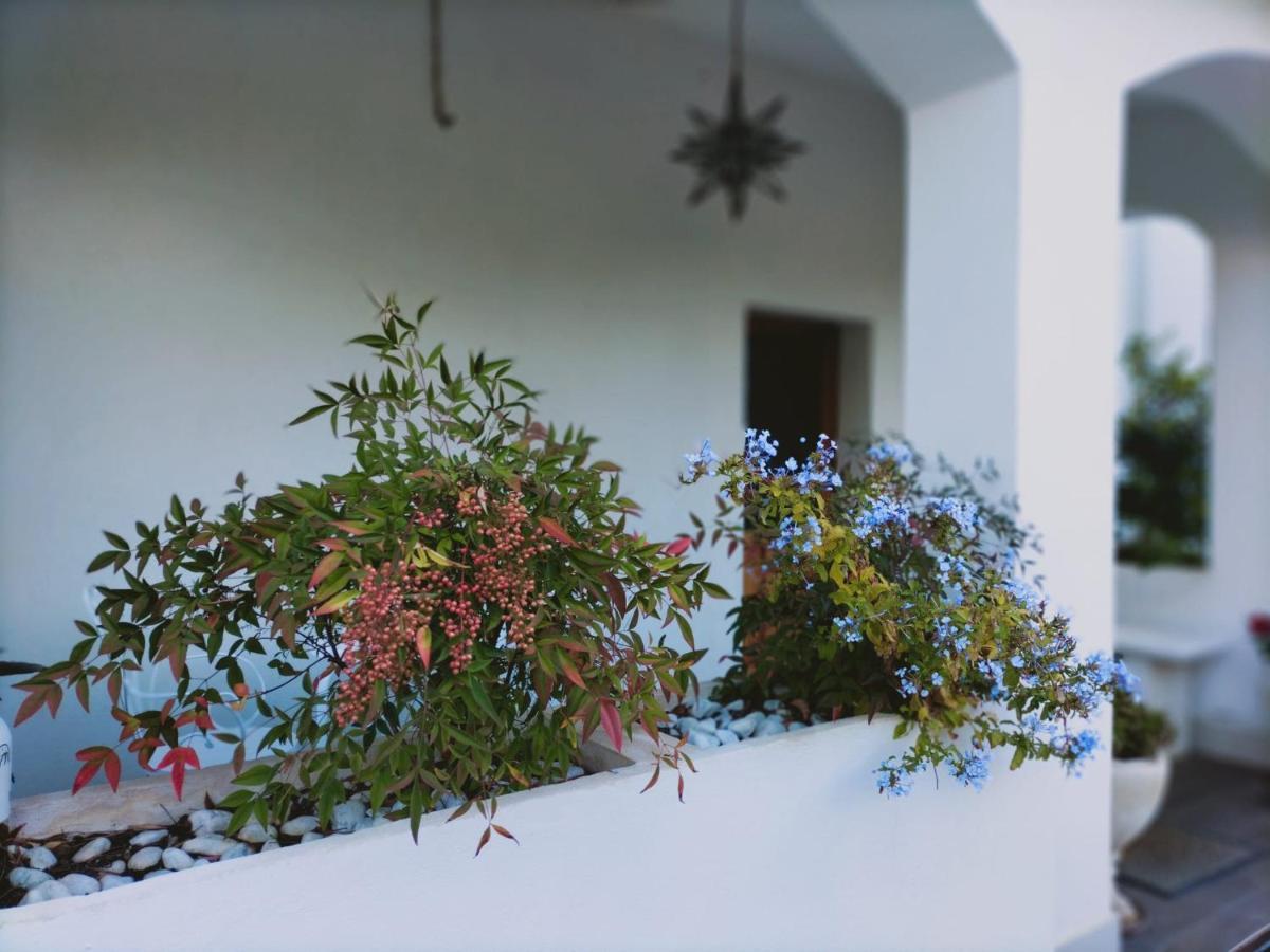 Villa Margherita ซานโจวานนี เตอาติโน ภายนอก รูปภาพ