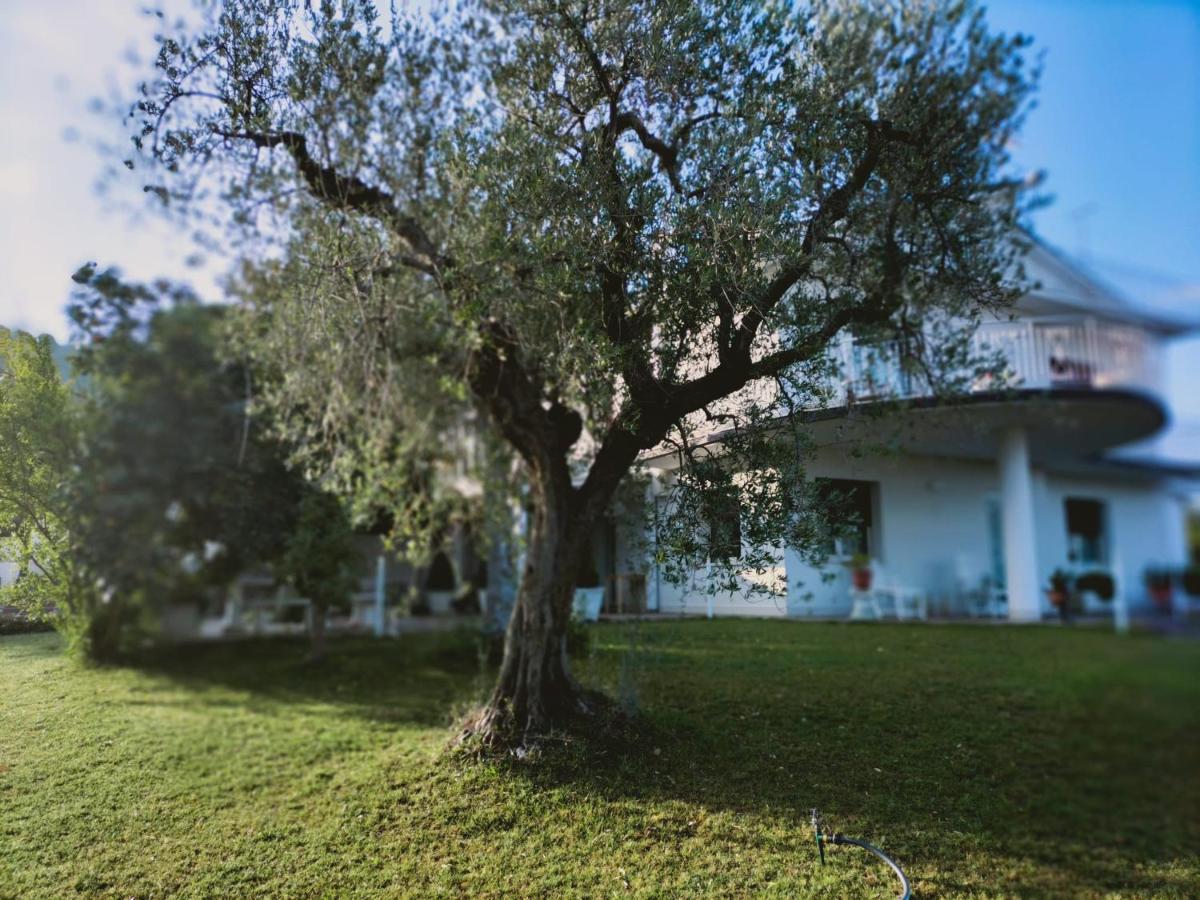 Villa Margherita ซานโจวานนี เตอาติโน ภายนอก รูปภาพ